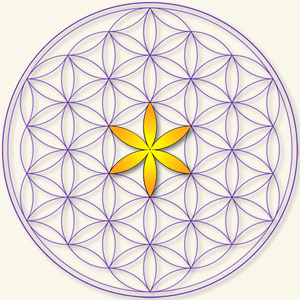 University of Metaphysical Sciences logo